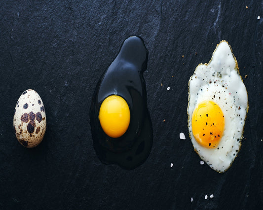 Egg Evolution Journey