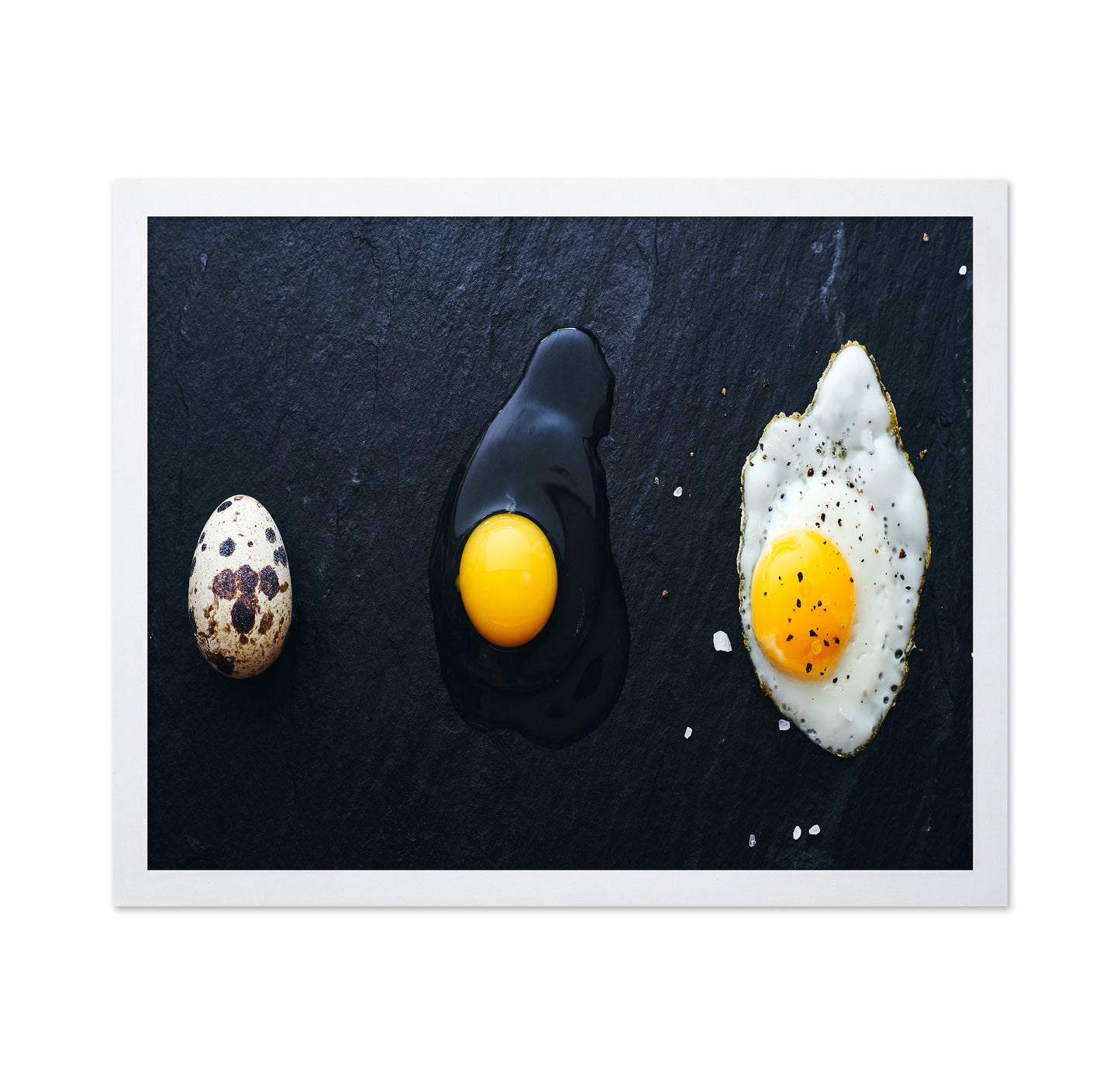 Egg Evolution Journey