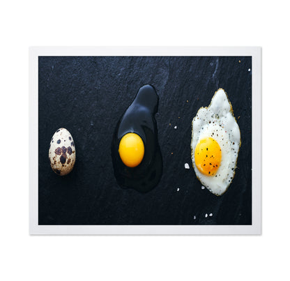 Egg Evolution Journey