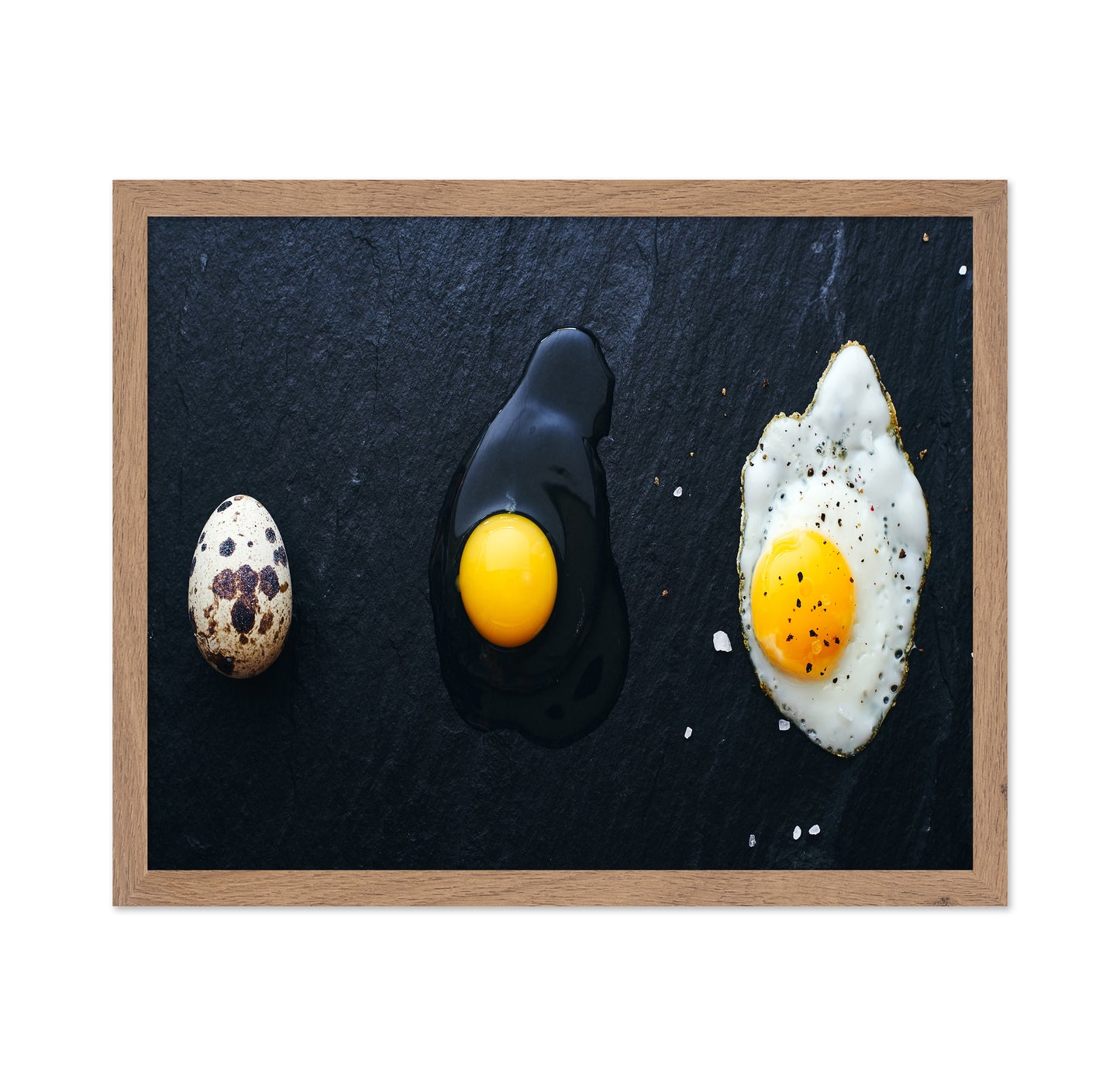 Egg Evolution Journey