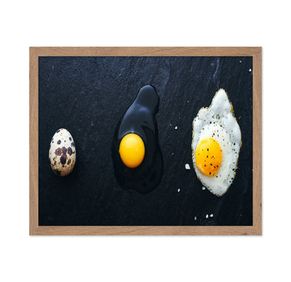 Egg Evolution Journey