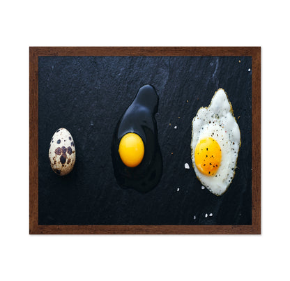 Egg Evolution Journey