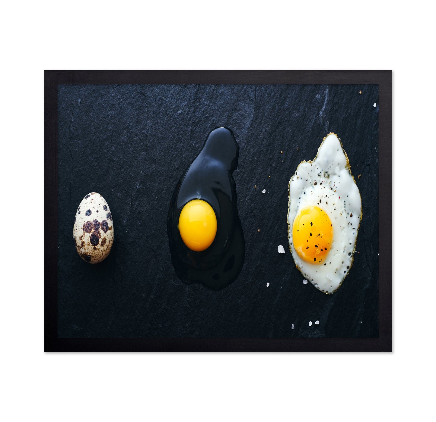 Egg Evolution Journey