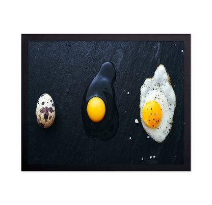 Egg Evolution Journey