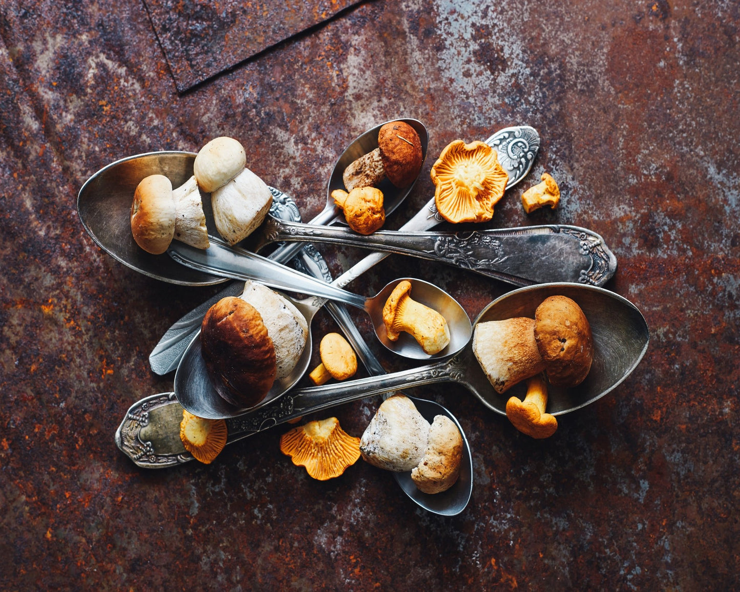 Spoonsa Wild Mushrooms