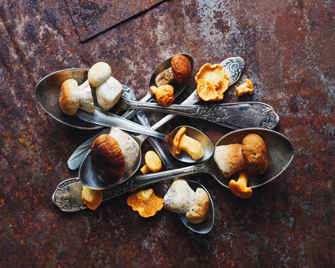 Spoonsa Wild Mushrooms