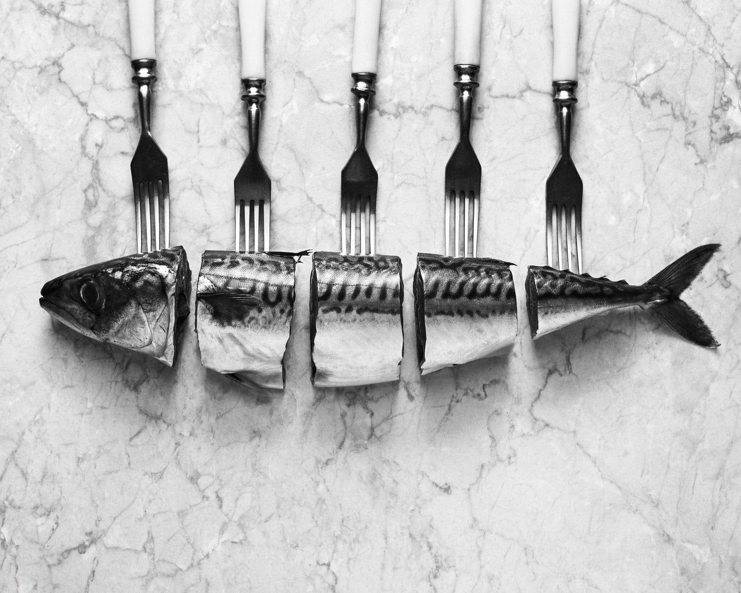 Forked Fish Harmony