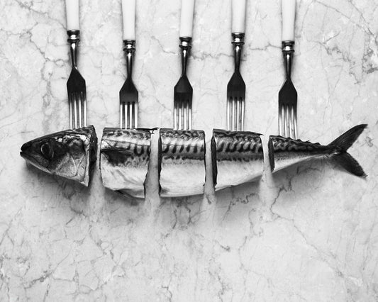 Forked Fish Harmony