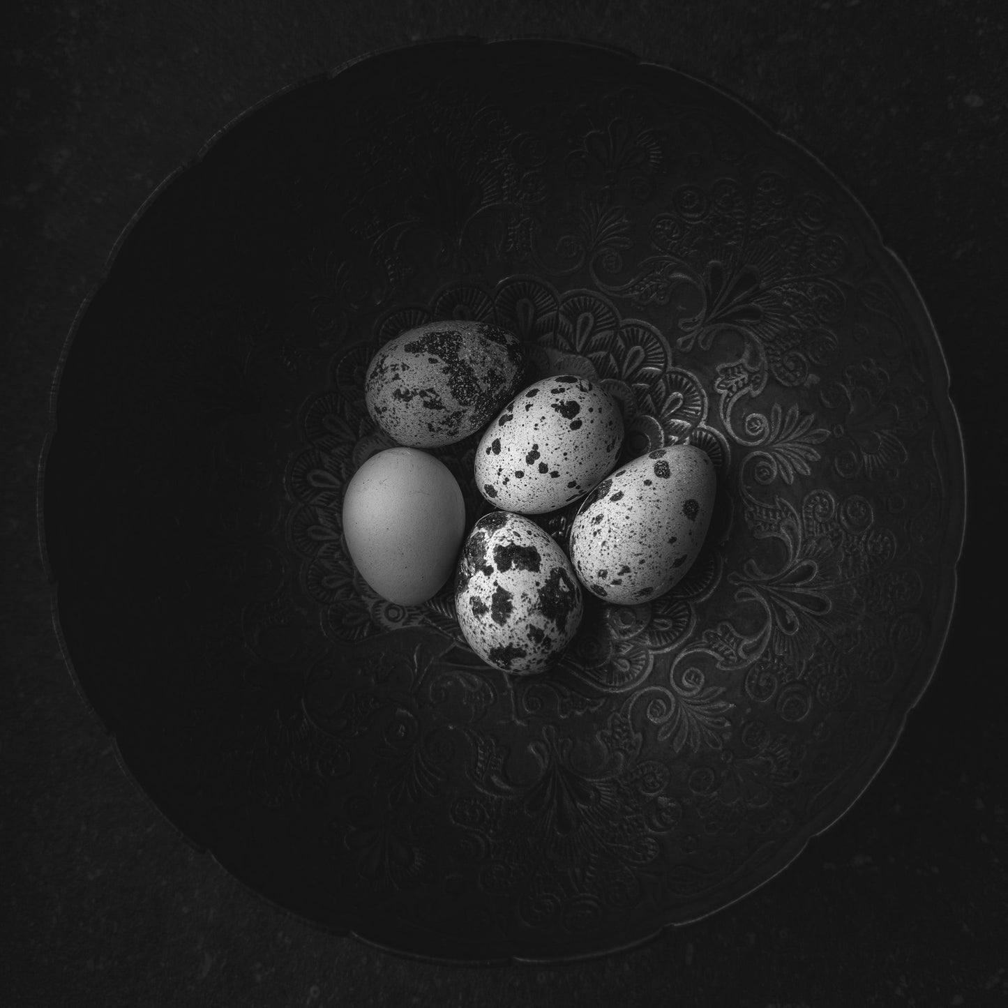 Five Eggs
