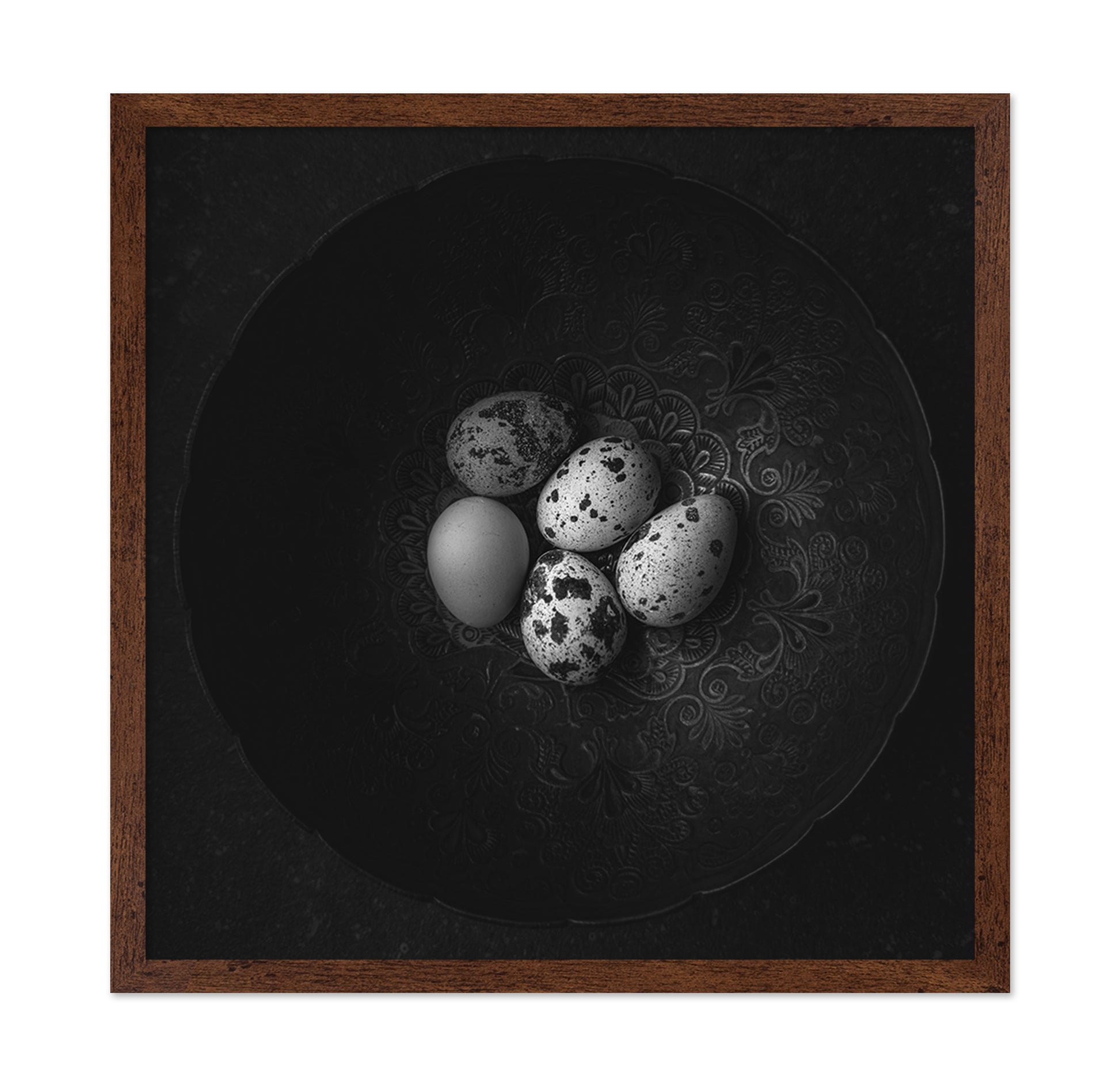Five Eggs