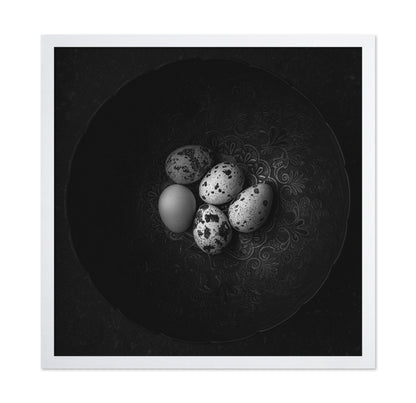 Five Eggs