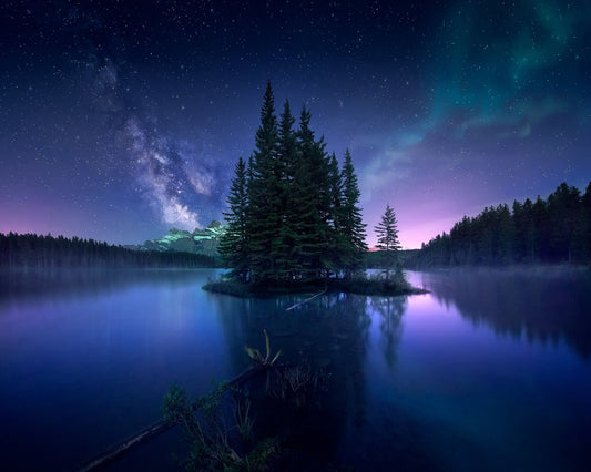Dreamy Night