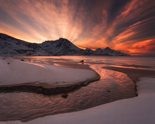 Northern Paradise