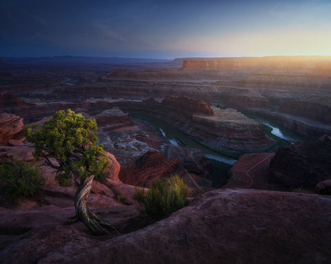 Dead Horse Land