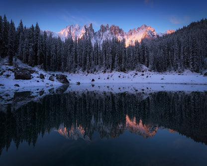 The First Morning
