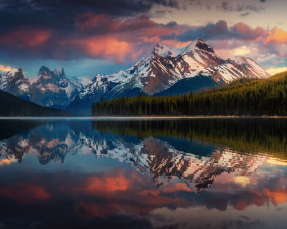 Maligne Color