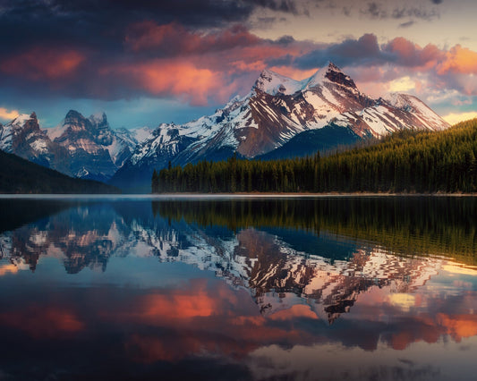 Maligne Color
