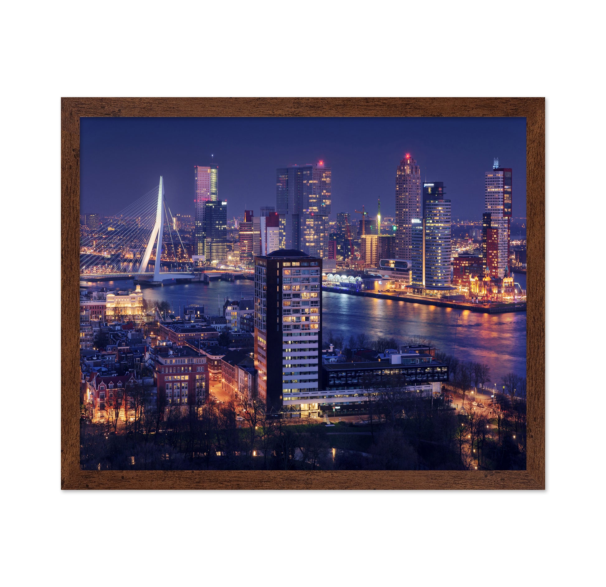 Big Rotterdam