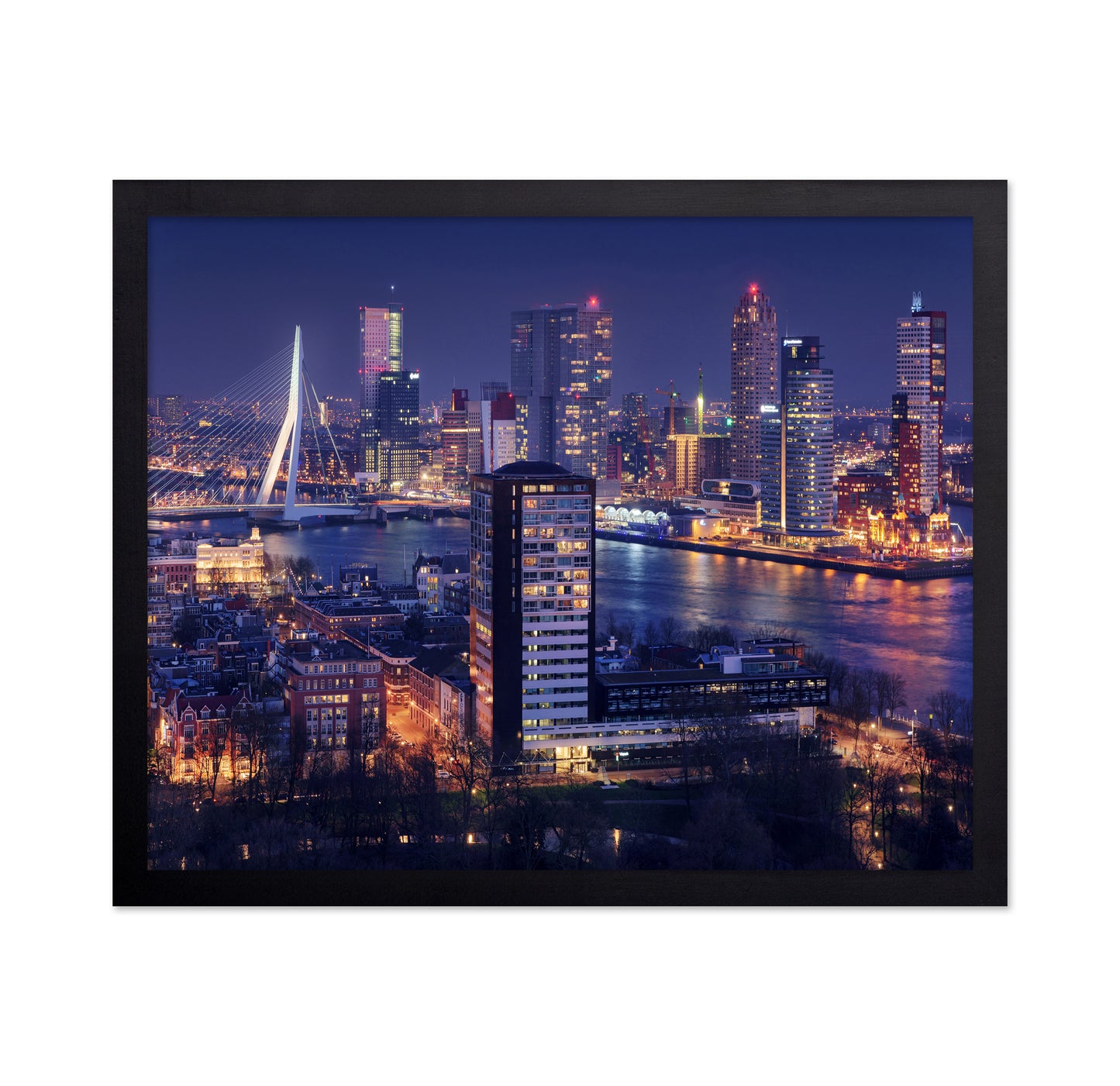 Big Rotterdam