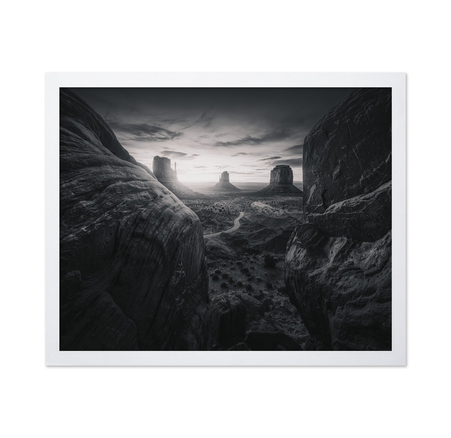 Arizona Desert Landscape