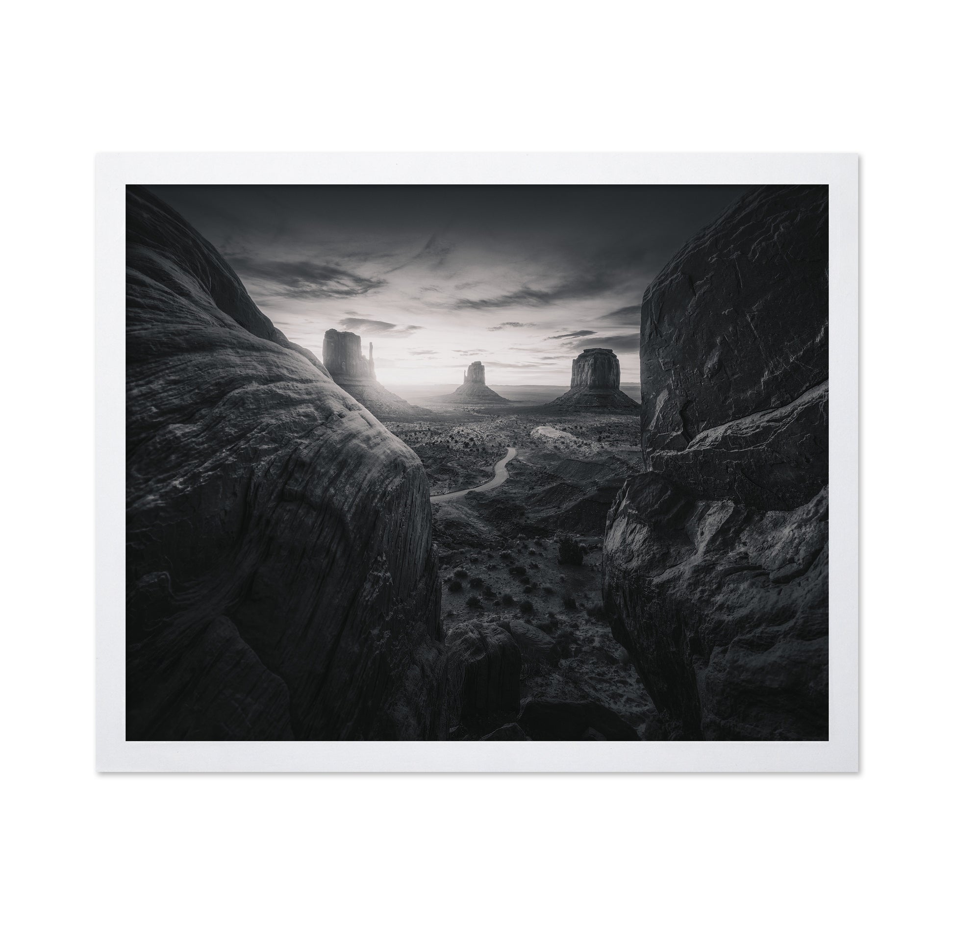 Arizona Desert Landscape