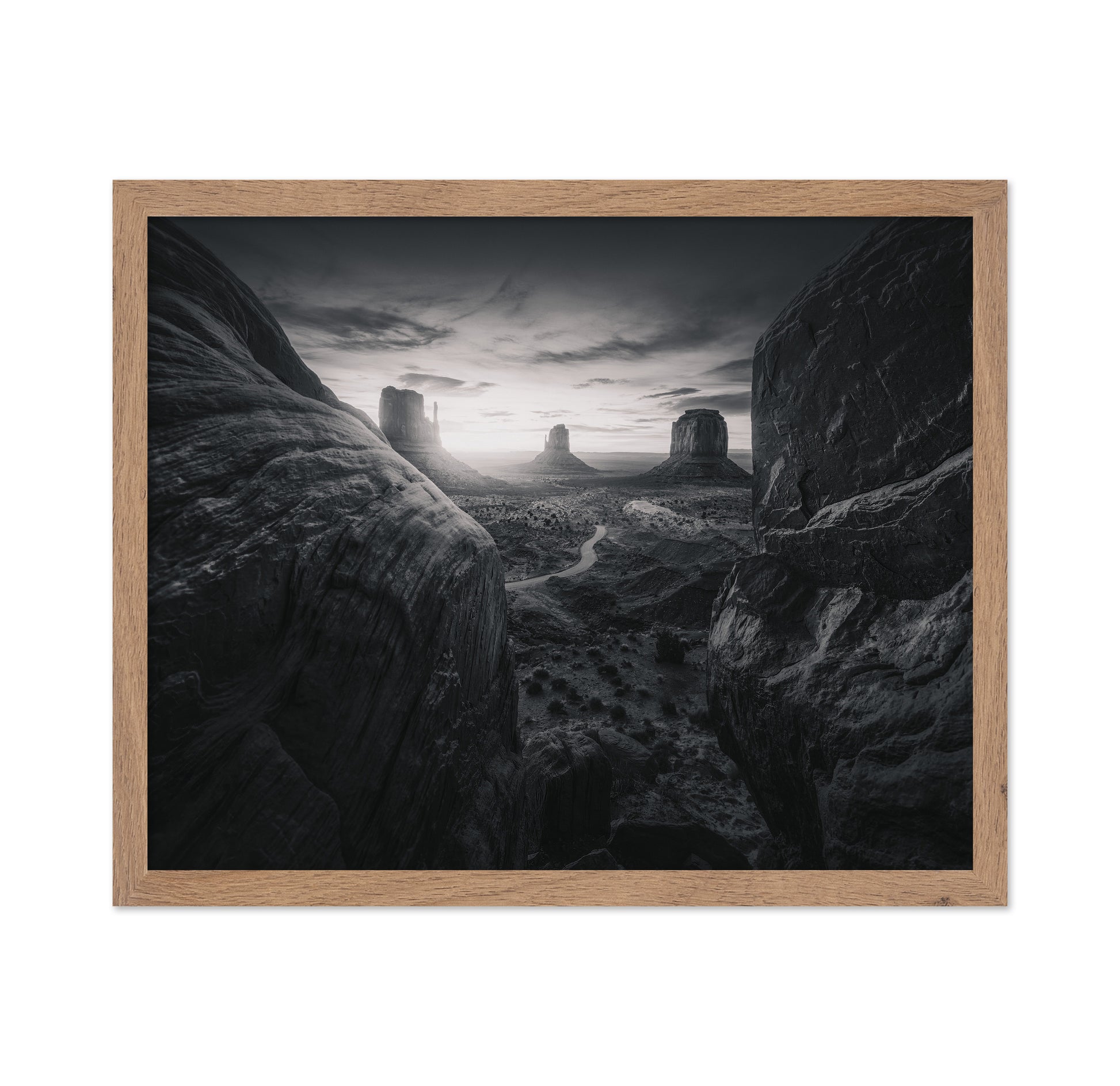Arizona Desert Landscape