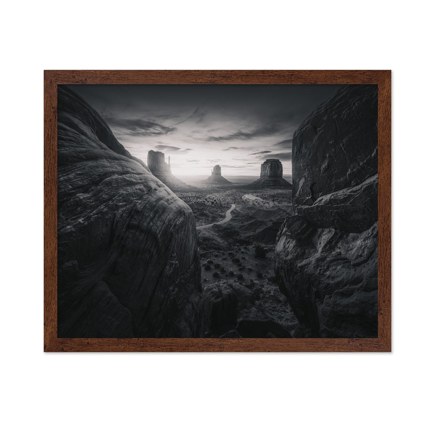 Arizona Desert Landscape