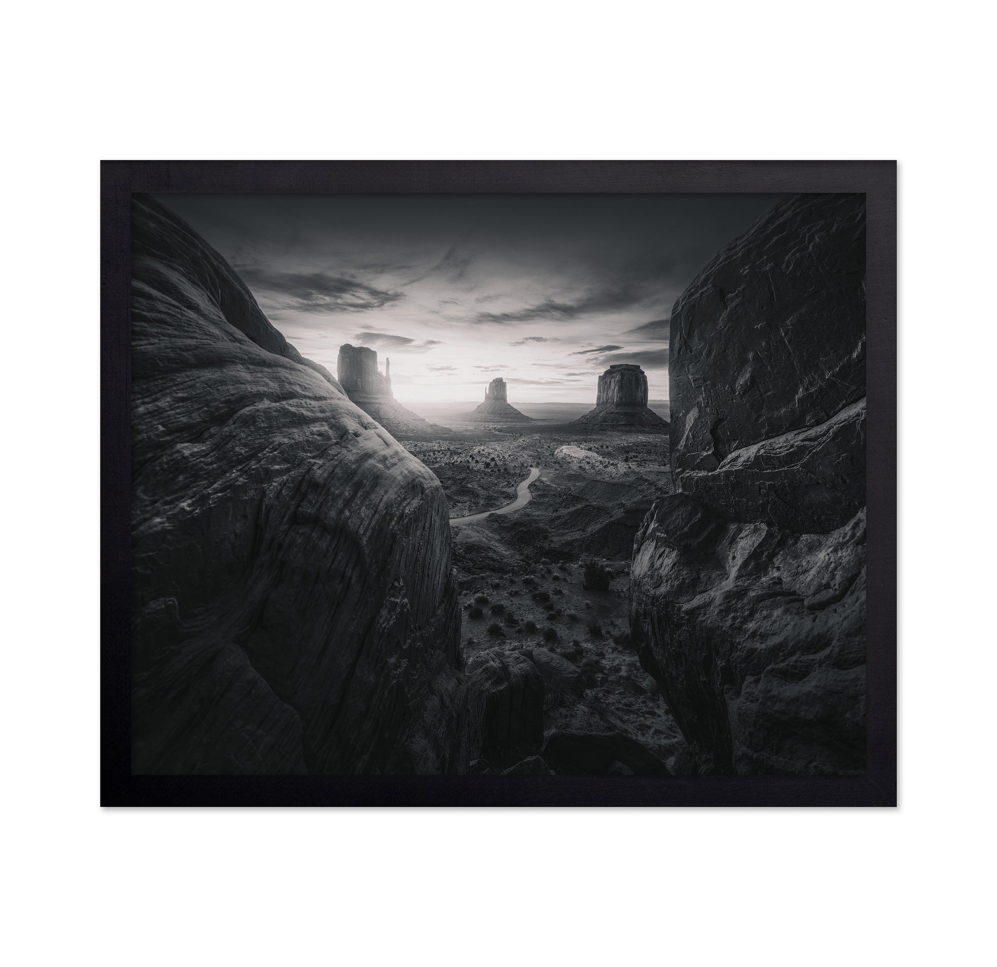 Arizona Desert Landscape