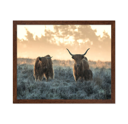 Three Highlanders