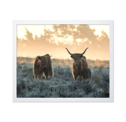 Three Highlanders