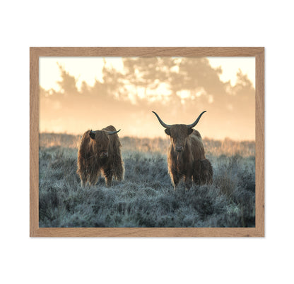 Three Highlanders