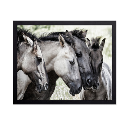 Four Konik Horses