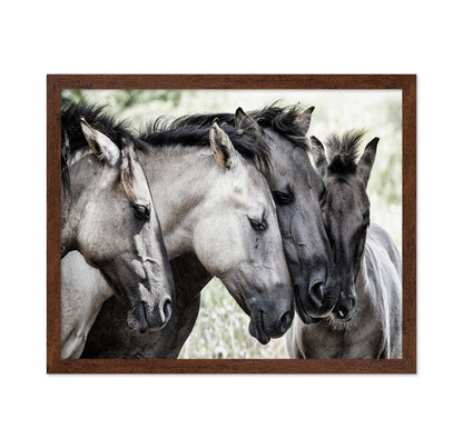 Four Konik Horses