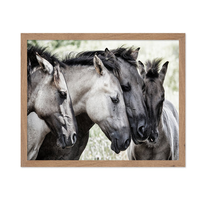 Four Konik Horses