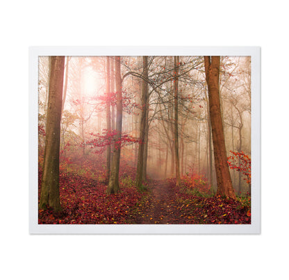 Forest Scene