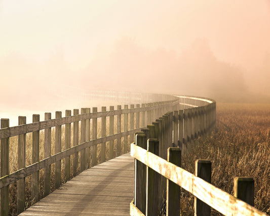 The Path Gets Brighter