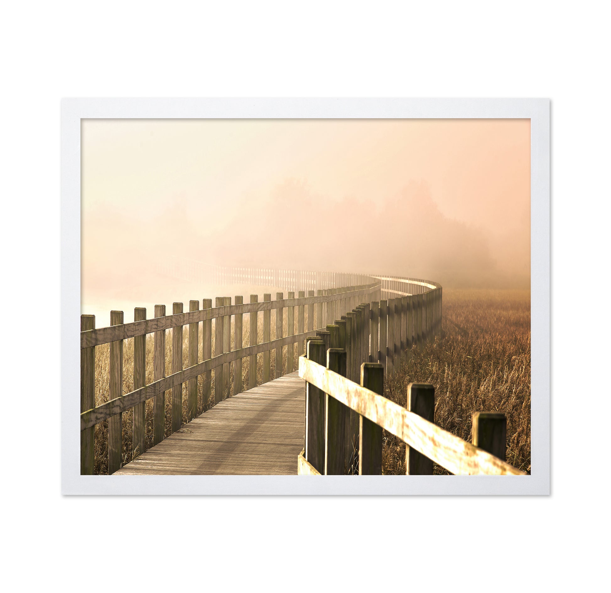 The Path Gets Brighter