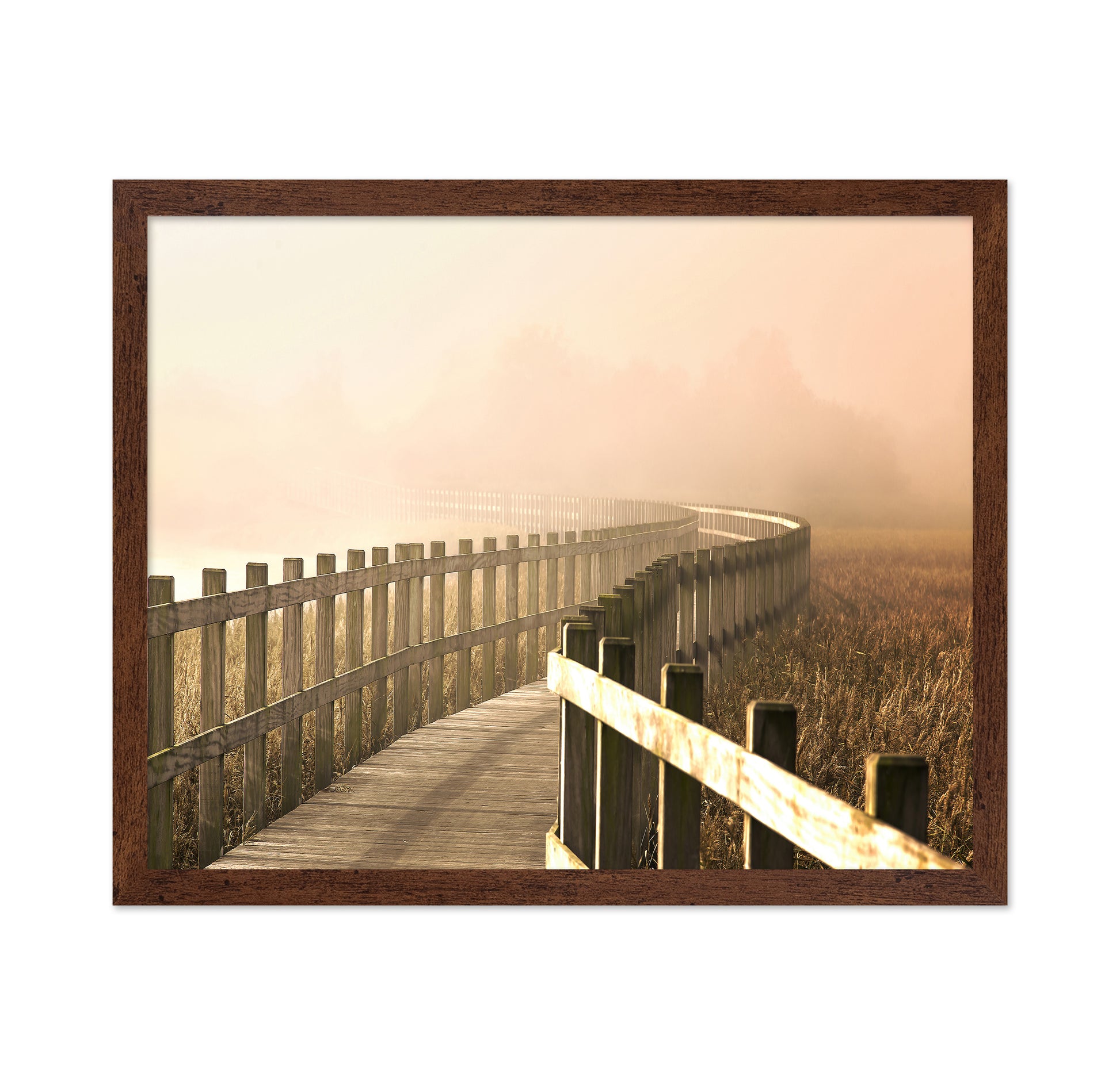 The Path Gets Brighter