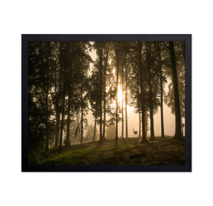 Deer in the Morning Mist