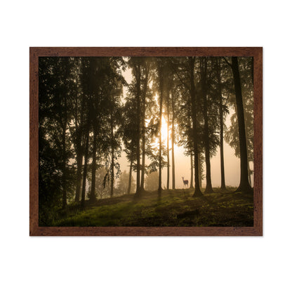 Deer in the Morning Mist