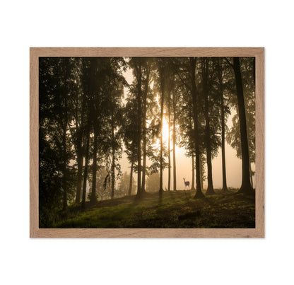 Deer in the Morning Mist