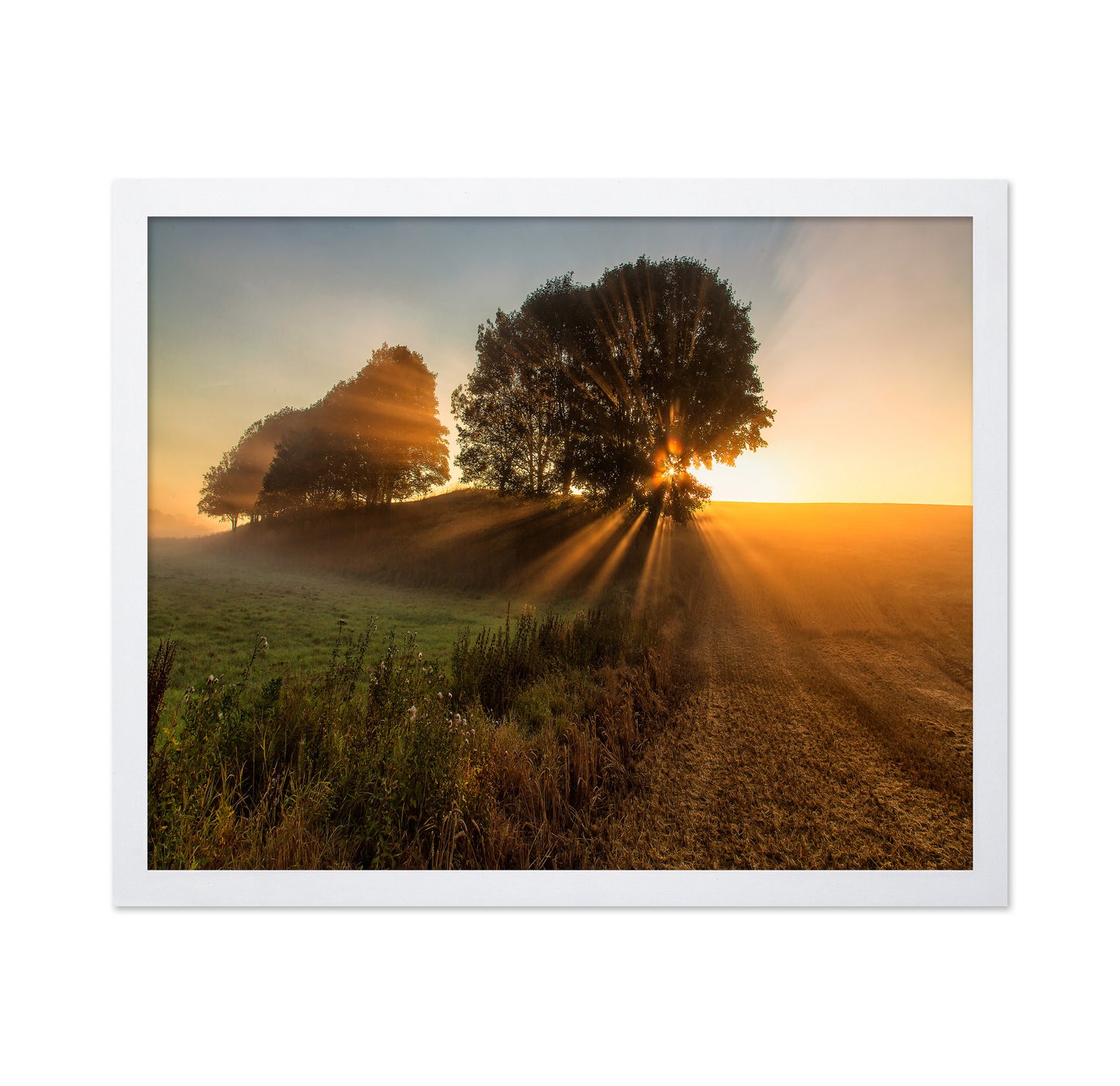 Sunbeams