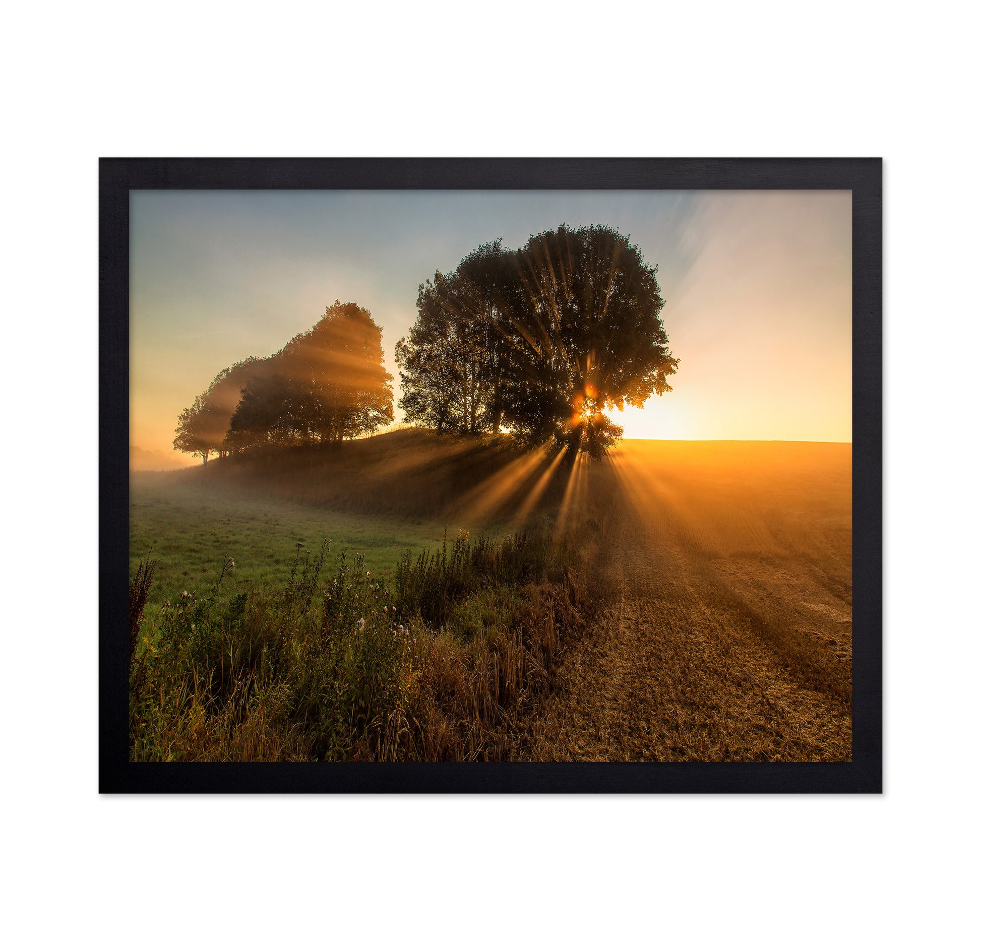 Sunbeams