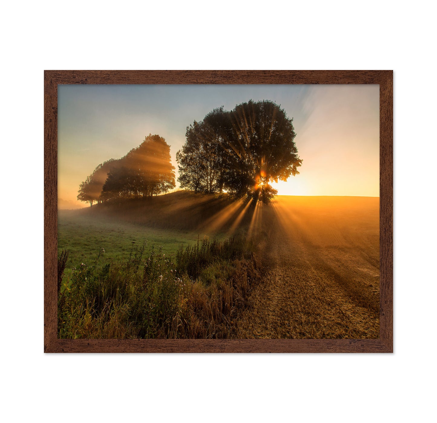 Sunbeams