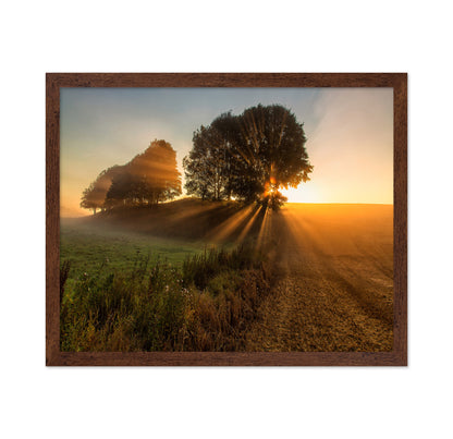 Sunbeams