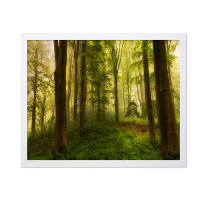 The Little Tree