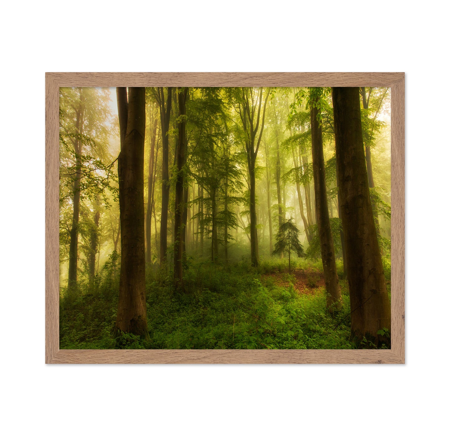 The Little Tree