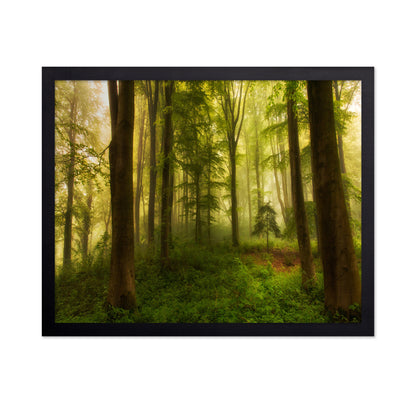 The Little Tree