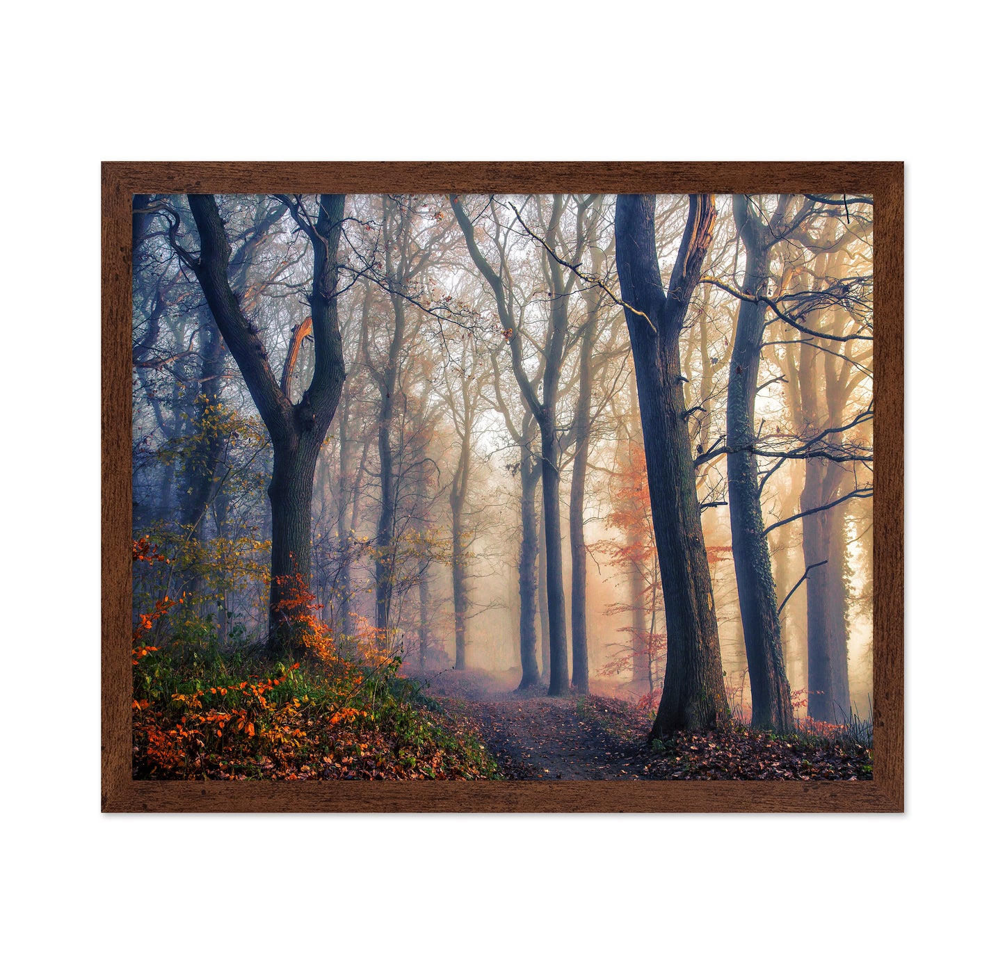 The Forest Path