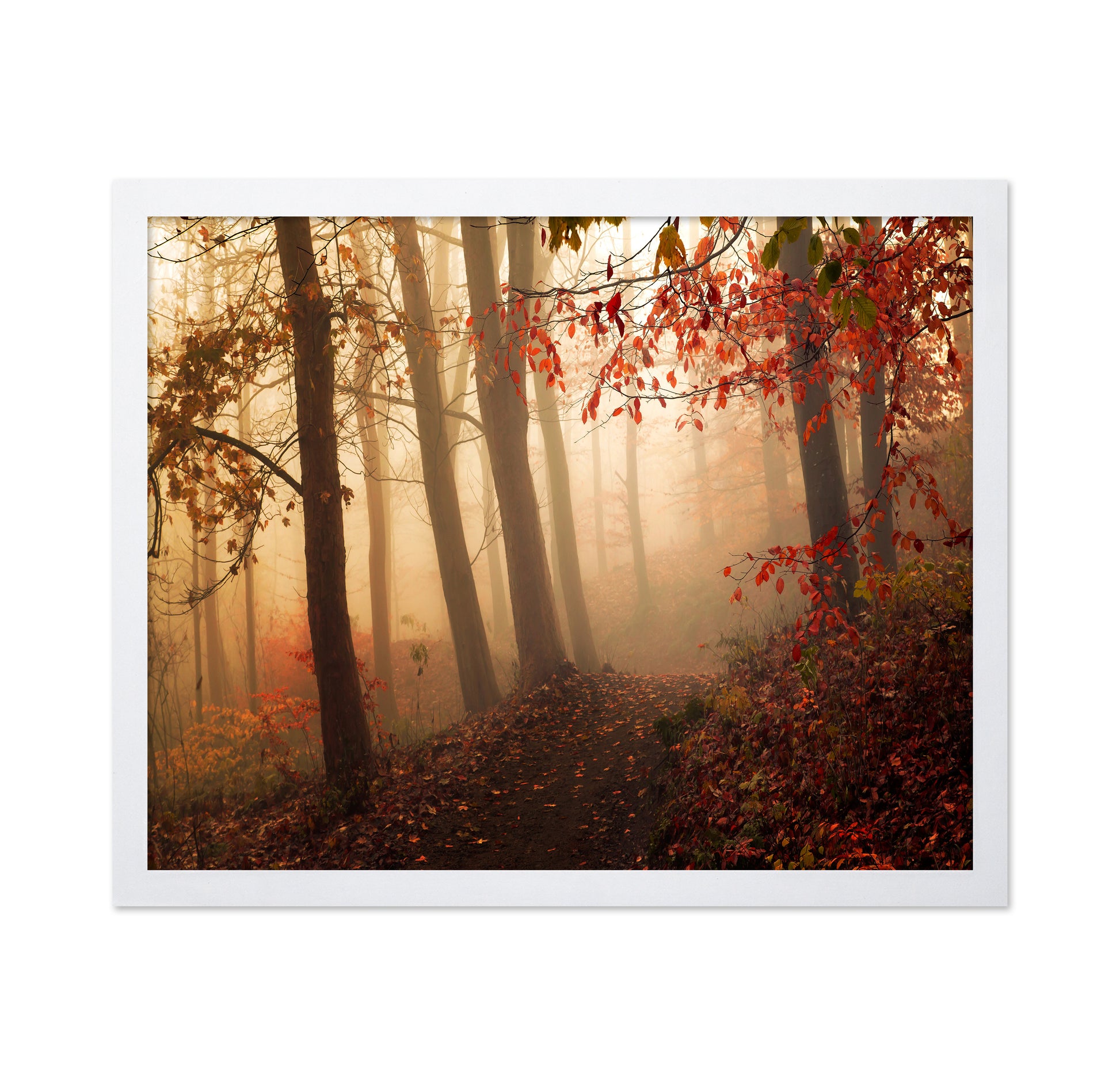 Autumn Path
